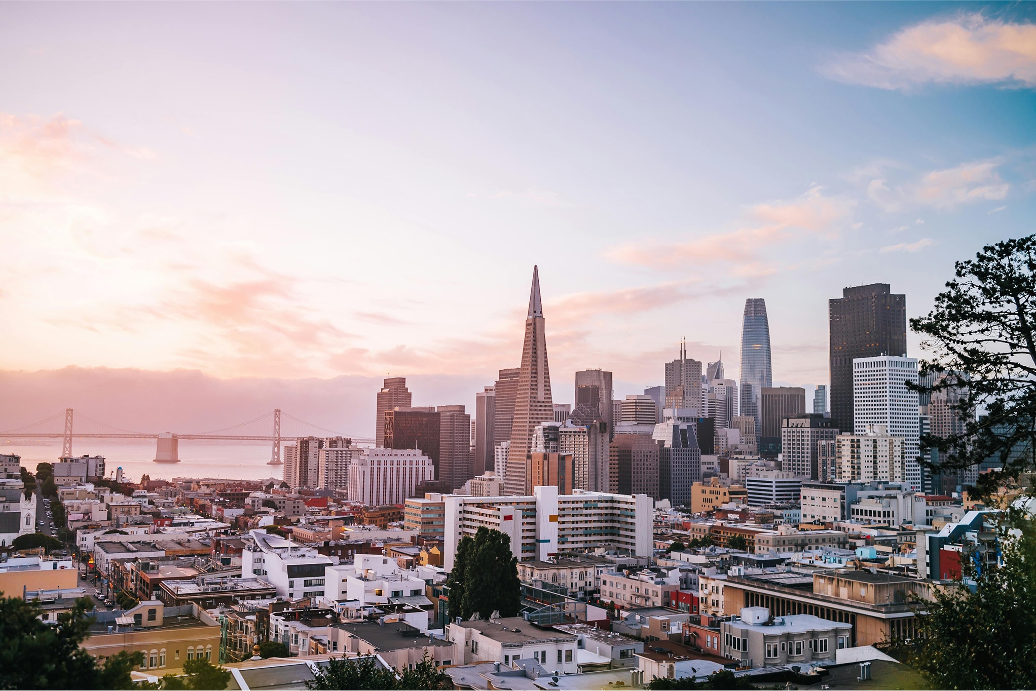 san francisco skyline